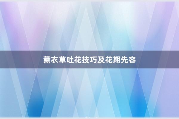薰衣草吐花技巧及花期先容